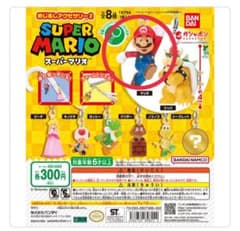 スーパーマリオ めじるしアクセサリー2 マリオのサムネイル