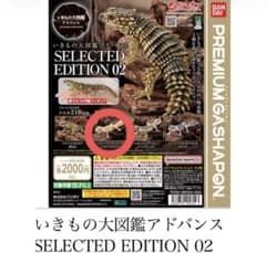 いきもの大図鑑アドバンス　レオパードゲッコー（ベルアルビノ） バンダイプレミアム
