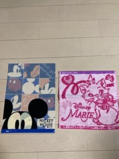 ディズニー　クリアファイルとハンドタオルのサムネイル