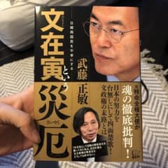 文在寅という災厄のサムネイル