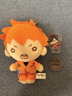 ハイキュー にとたん ぬいぐるみ ペイントスーツ 日向翔陽のサムネイル