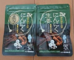 健康家族 にんにく生姜   353mg×31粒入【2袋】のサムネイル