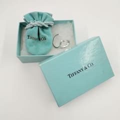 こ*と様 美品.付属品付きTiffany&Co.ティファニー オープンハートリン