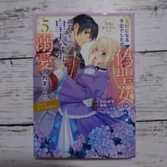 王妃になる予定でしたが、偽聖女の汚名を着せられたので逃亡したら、皇太子に溺愛さ…のサムネイル