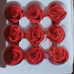 プリザーブドフラワー赤い薔薇週末セール150円値下げのサムネイル