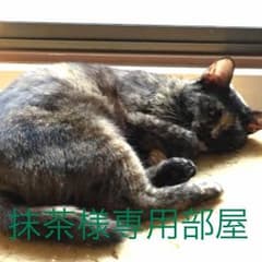 抹茶様専用部屋のサムネイル