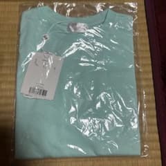 ちびRady Tシャツ ミント XS85のサムネイル