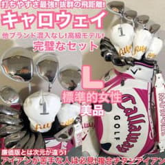 美品 高性能 キャロウェイ 完璧に揃ったセット 打ちやすさ最強 高級品 