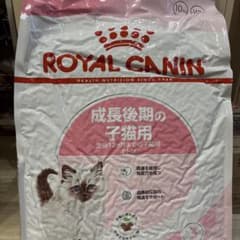 ROYAL CANIN 子猫用成長後期ドライフード 10kg - メルカリ