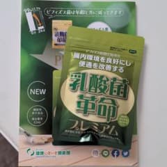 乳酸菌革命プレミアム 62粒 ビフィズス菌のサムネイル