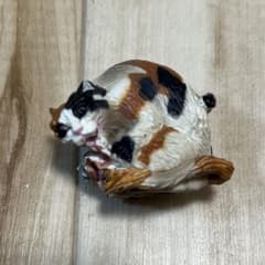 妖怪根付　百鬼夜行妖怪コレクション　荒俣宏の奇想秘物館 陰陽妖怪絵巻 猫又のサムネイル