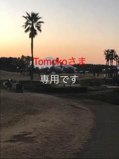 Tomoko Tamさま専用のサムネイル