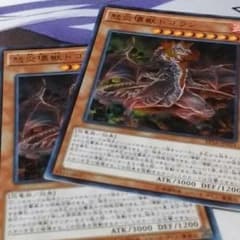 こーの様:専用のサムネイル