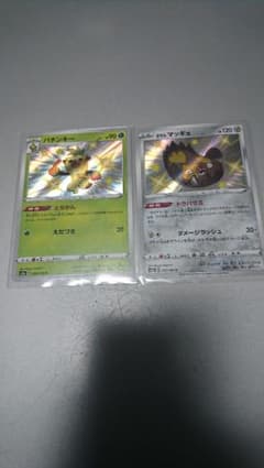 【色違い】バチンキー&ガラルマッギョのサムネイル