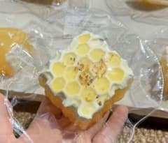 我一定会爆単的捏捏 baodan バオダン はちみつのサムネイル