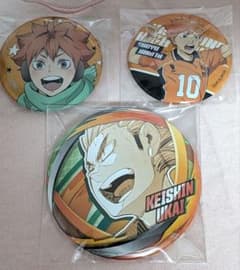 ハイキュー!! コスモワールド缶バッジ 3点セット 日向翔陽 烏養繋心