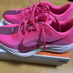 ナイキペガサスプラス　レディース26.0cmのサムネイル