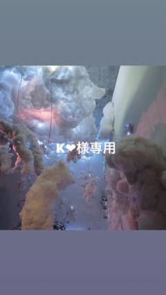 K❤︎様専用のサムネイル