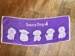 Saucy Dog タオルのサムネイル