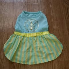 森泉 犬服のサムネイル