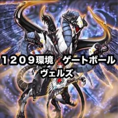 ヴェルズデッキ 1209環境 1209環境再考察｜める