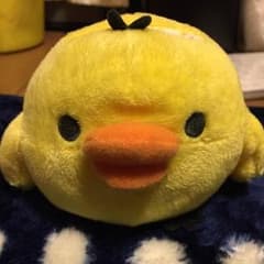キイロイトリ 携帯入れのサムネイル