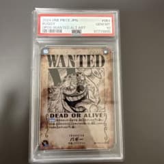 バギー R SP(スペシャルカード) OP09-051 psa10のサムネイル