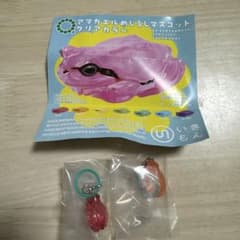 アマガエルめじるしマスコット クリアカラー ピンク　オレンジのサムネイル