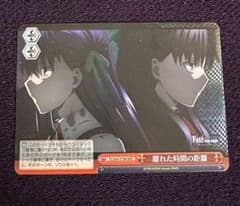 바이스 Fate/stay night 멀리 떨어진 시간 거리 rrr