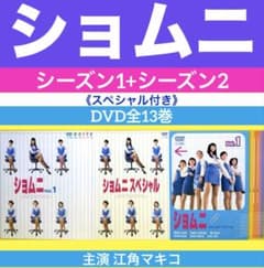 ショムニ DVD （シーズン1+シーズン2）SP付き全13巻☆江角マキコ