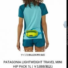 Patagoniaのウエストポーチのサムネイル
