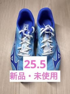 MIZUNO WAVE REBELLION FLASH 2 25.5cmのサムネイル