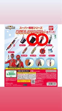 スーパー戦隊シリーズ めじるしアクセサリーのサムネイル