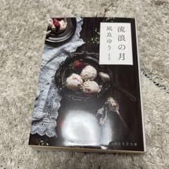 流浪の月 凪良ゆう 創元文芸文庫のサムネイル