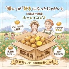 !10/8までの限定価格!【食卓レスキュー】新じゃが北海コガネ10kg 北海道産のサムネイル