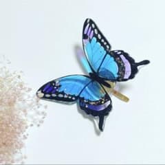 難あり　蝶々のポニーフックのサムネイル