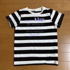 Tシャツ ボーダー ALGY 女の子 可愛い ロゴ 半袖のサムネイル