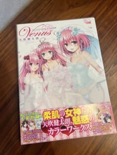 矢吹健太朗 画集 Venus To LOVEる　美品のサムネイル