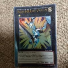 ホープルーツのサムネイル