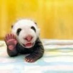 しーちゃん様  専用のサムネイル