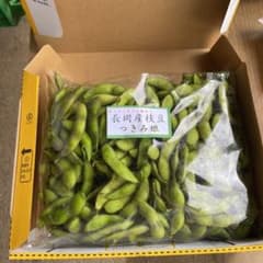 新潟の枝豆 つきみ娘 900gのサムネイル