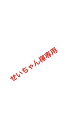 せいちゃん様専用のサムネイル