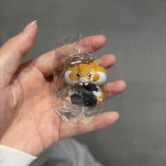 りんりんよくばりハムスター クロハラ鈴ハムのサムネイル