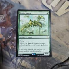 MTG ザンティッドの大群(EMA) 英語 - メルカリ