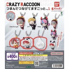 CRAZYRACCOON つまんでつなげてますこっとのサムネイル