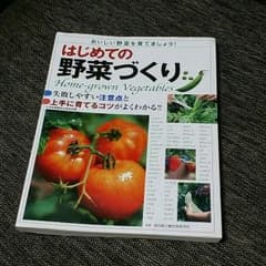 ポリンキーさん専用❗はじめての野菜づくり   野菜の育て方の本です❗のサムネイル