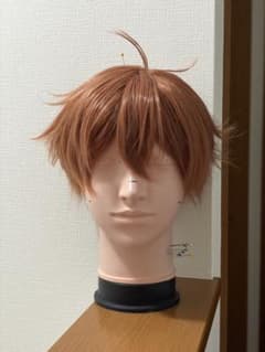 エーストラッポラ コスプレ ウィッグ ツイステのサムネイル
