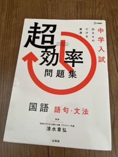 中学入試 超効率問題集 国語 語句・文法のサムネイル