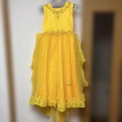 イエロービーズ刺繍ドレスのサムネイル