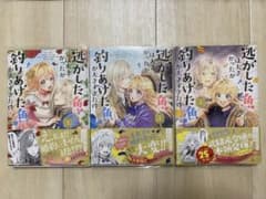 逃がした魚は大きかったが釣りあげた魚が大きすぎた件(コミック)のサムネイル